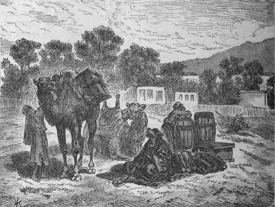 Wells of Moses, Near Suez by Unbekannt
