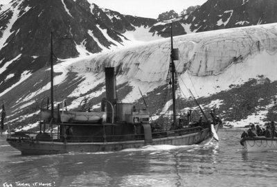 Whaling, Magdalene Bay, Spitzbergen, Norway by Unbekannt