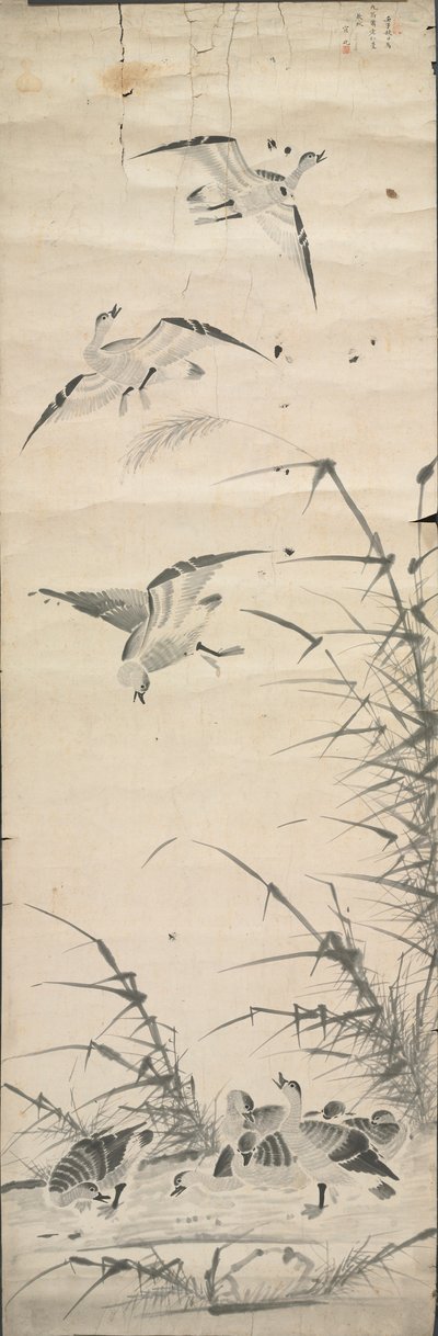 Wild Geese and Reeds by Unbekannt