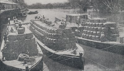 Wool Barges on the Murray River, 1923 by Unbekannt