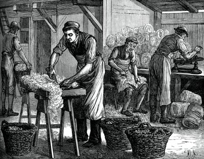 Wool Sorters by Unbekannt