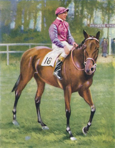 Zoltan, Jockey: M. Beary by Unbekannt