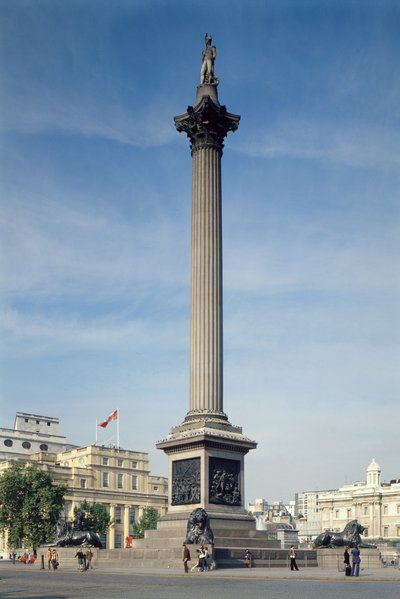 Nelson