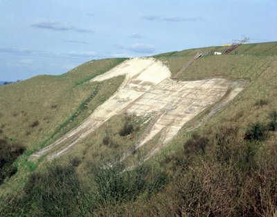 The Westbury White Horse by Unbekannt Unbekannt