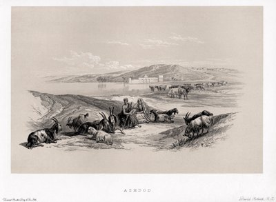 Ashdod by David by Unbekannter Künstler