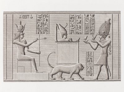 Book: Description of Egypt by Unbekannt