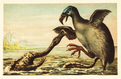 Brontornis Battling a Hadrosaurus (lithograph) by Unbekannter Künstler