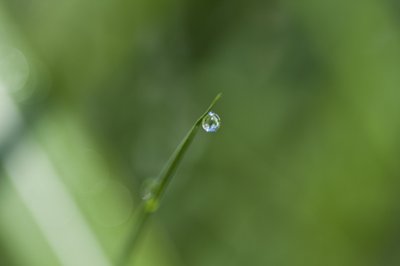 Droplet by Unbekannter Künstler