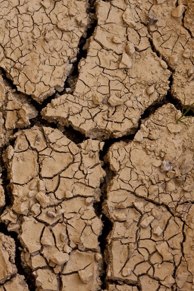 Dry II by Unbekannter Künstler
