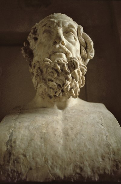 Head of Homer by Unbekannt