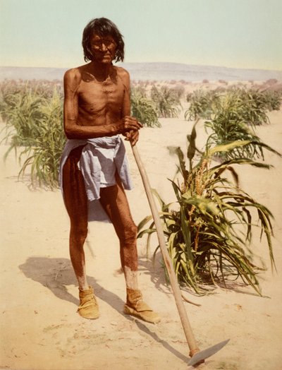 Hopi Man with a Hoe by Nicolas Liez