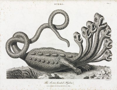 The Seven-Headed Hydra by Unbekannt