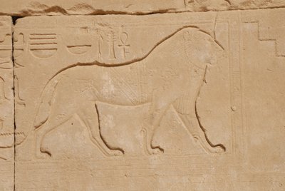 Lion Carving, Karnak, Luxor, Egypt by Unbekannt