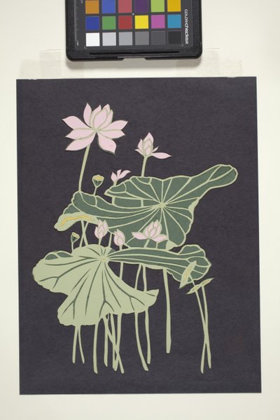 Lotus by Unbekannter Künstler