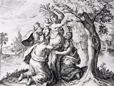 Mattei in Ovid
