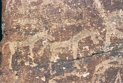 Mongolia, Gobi Desert, Rock Engraving by Benjamin Baud