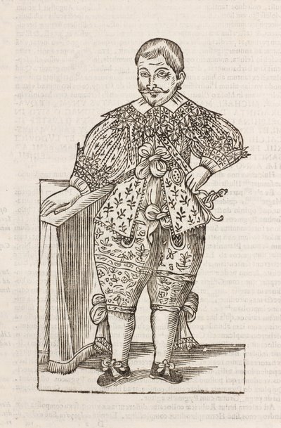 Dwarf of the Most Illustrious D by Unbekannt