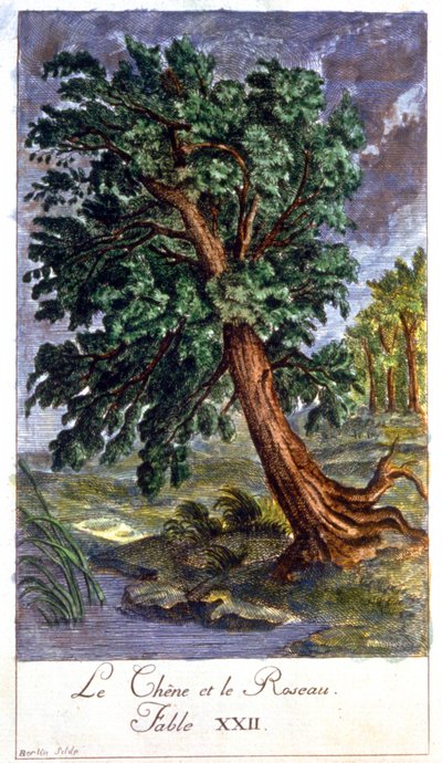 Oak and Reed by Unbekannter Künstler
