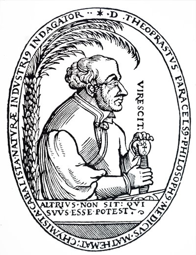 Paracelsus by Unbekannt