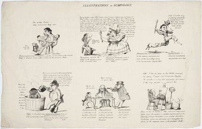 Phrenology Illustrations of Bumpology by Unbekannt