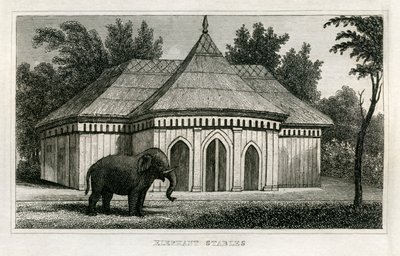 Regent