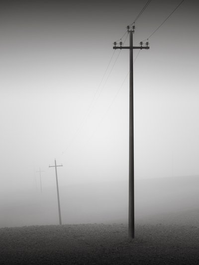 Solidarity, Tuscany, Italy, 2015 by Leopold Blonder