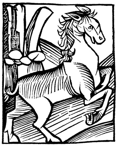 Spirited Horse Standing on Its Hindquarters by Unbekannter Künstler