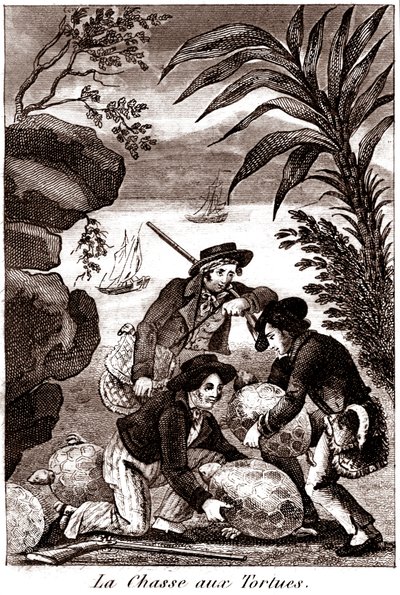 Turtle hunting by Unbekannter Künstler