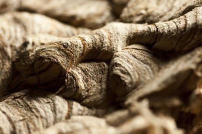 Wasp Nest II by Unbekannter Künstler