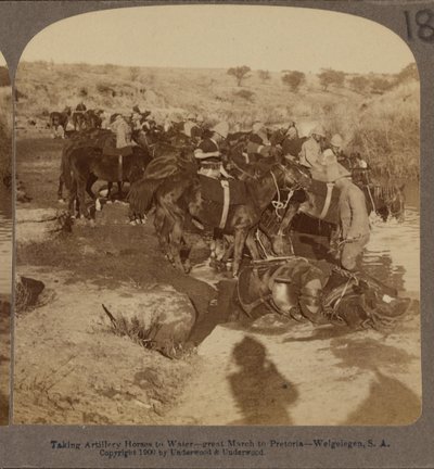 Watering Artillery horses, Welgelegen, South Africa by Underwood and Underwood