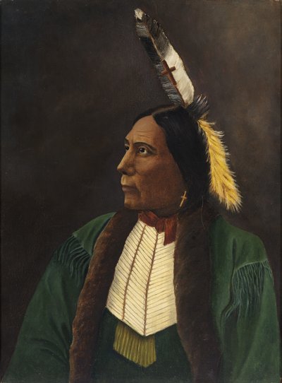 Portrait of an American Indian by Unidentified