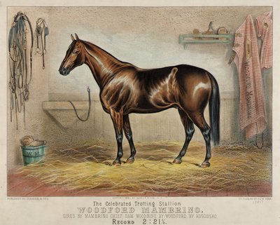 The Celebrated Trotting Stallion Woodford Mambrino by Unidentified