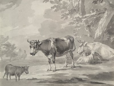 Cows and Sheep by Unknown