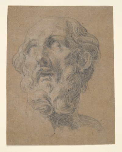 Head of a Man by Unknown