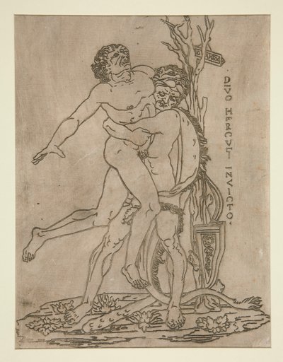 Hercules & Antaeus by Unknown