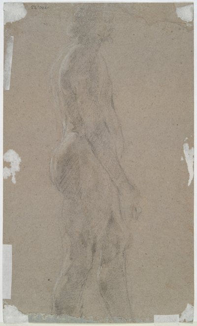 Nude Male (recto); Male Figure in Profile (verso) by Unknown