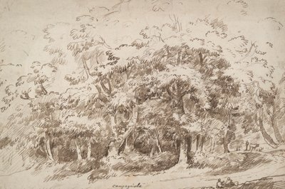 Study of Trees by Unknown