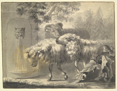 Three Sheep by Unknown