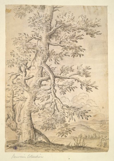 Tree by Unknown