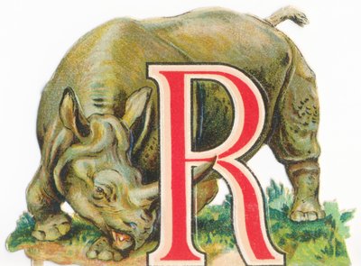 A: Rhinoceros by Unknown artist