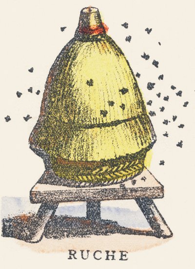 A: Hive by Unknown artist