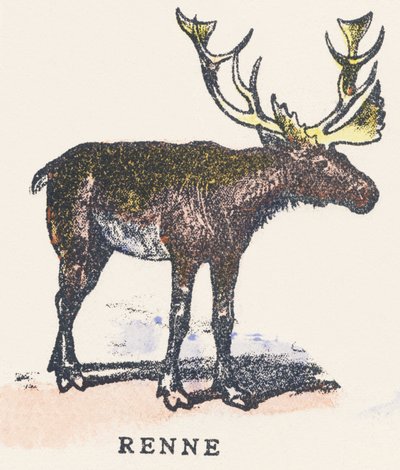 Reindeer by Unknown artist