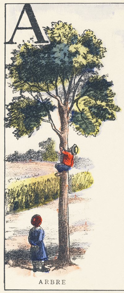 A: Tree by Unknown artist