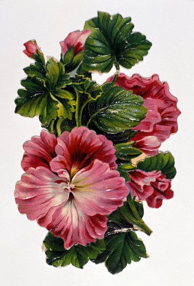 Bouquet of flowers. 19th century chromolithography. by Unknown artist