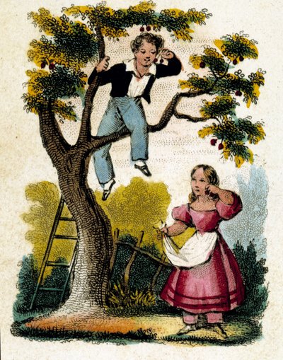 Cherry picking by Unknown artist