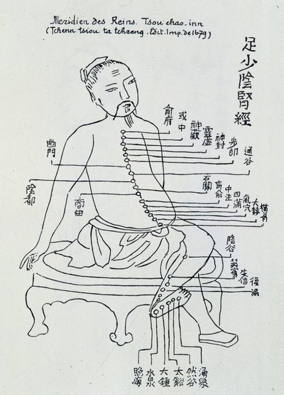 Chinese acupuncture: the meridian of the kidneys by Unknown artist