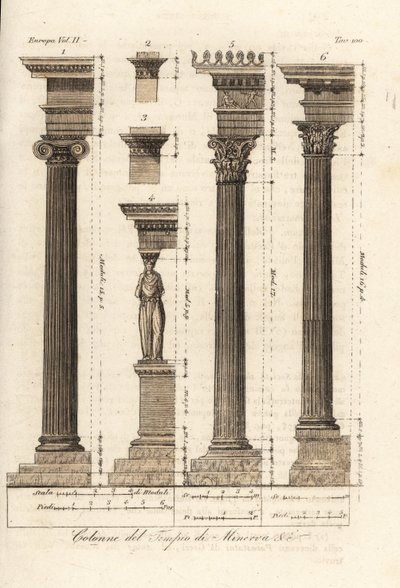 Columns from the Temple of Minerva, Athens by Unknown artist