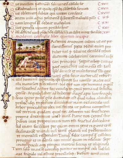 Farmers Planting Vineyards by Unknown artist