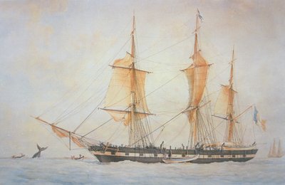 French Whaling Ship, c.1845 by Unknown artist