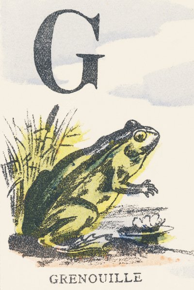 G: frog by Unknown artist